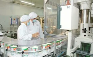 Công Ty Cổ Phần Sản Xuất Và Thương Mại Hoàng Vượng