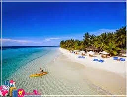 Công Ty TNHH Thương Mại Và Du Lịch GoAsiaDayTrip Quốc Tế