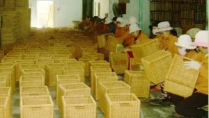 Mây Tre Lá Xuất Khẩu Âu Cơ – Hợp Tác Xã Mây Tre Lá Xuất Khẩu Âu Cơ