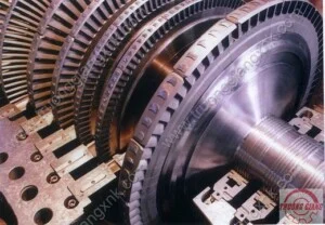 Công Ty TNHH XNK Máy Móc Thiết Bị Trường Giang