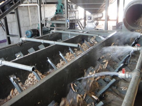 Băng Tải Thiên Long – Công Ty TNHH Kỹ Thuật Thiên Long