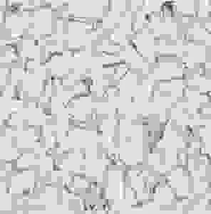 Sàn Nhựa Xinh – Công Ty TNHH TM DV Sàn Xinh