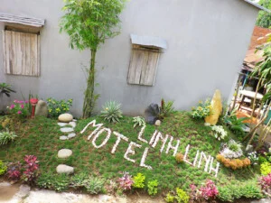 Công Ty CP Ngoại Thất Xanh Và Xinh