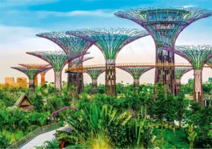 Công Ty TNHH Dịch Thuật Lữ Hành Ok Tour