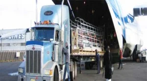 Vận Tải Nam Trang – Công Ty TNHH Nam Trang