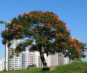 Công Ty Cổ Phần Đầu Tư Phú Đạt