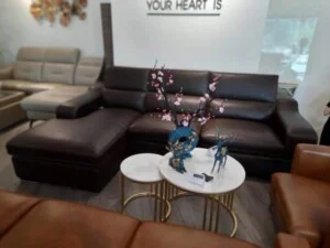 Sofa Trang Trung – Công Ty TNHH Sản Xuất Và Nhập Khẩu Kim Khí Zhi Jie