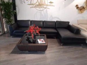 Sofa Trang Trung – Công Ty TNHH Sản Xuất Và Nhập Khẩu Kim Khí Zhi Jie