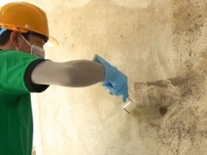 Công Ty TNHH Thương Mại Và Xây Dựng Việt Tinh