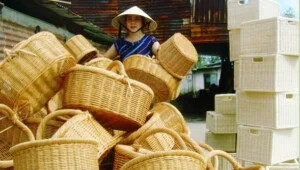 Mây Tre Lá Xuất Khẩu Âu Cơ – Hợp Tác Xã Mây Tre Lá Xuất Khẩu Âu Cơ