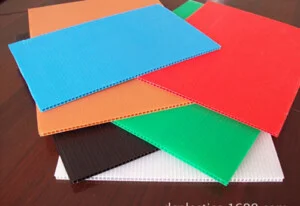 Chi Nhánh Hồ Chí Minh – Công Ty TNHH Sản Xuất Thương Mại Xuất Nhập Khẩu Đạt Thuận