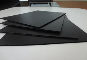 Chi Nhánh Hồ Chí Minh – Công Ty TNHH Sản Xuất Thương Mại Xuất Nhập Khẩu Đạt Thuận