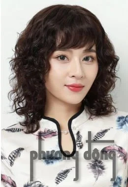 Tóc Giả PD Hair – Công Ty PD Hair Việt Nam