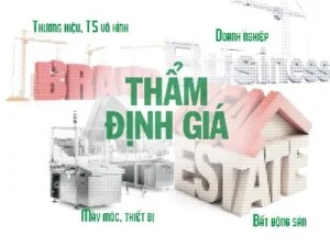 Công Ty CP Tư Vấn Và Thẩm Định Giá Doanh Nghiệp