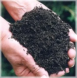 Công Ty TNHH Sản Xuất Thương Mại Xuất Nhập Khẩu Thiên Tân Phát