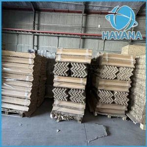 Giấy Thành Vương – Công Ty Cổ Phần Giấy Thành Vương