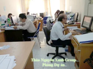 Công Ty CP Tư Vấn Đầu Tư Thảo Nguyên Xanh