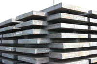 Thép Tân Đại Phát – Công Ty Cổ Phần Thép Tân Đại Phát