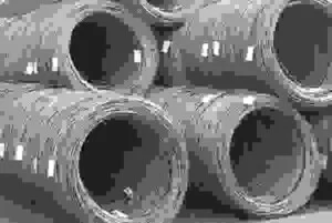 Công Ty TNHH Trịnh Hoàng Đăng