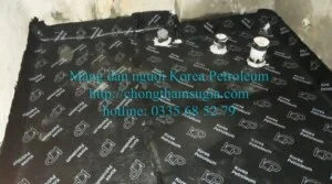 Công Ty TNHH Thương Mại Xây Dựng Sử Gia