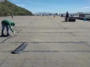 Công Ty TNHH Thương Mại Xây Dựng Sử Gia