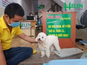 Helen Express – Công Ty TNHH Vận Chuyển Helen Express