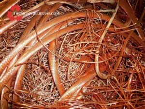 Thu Mua Phế Liệu 365 – Công Ty TNHH Thương Mại Dịch Vụ Bình Dương