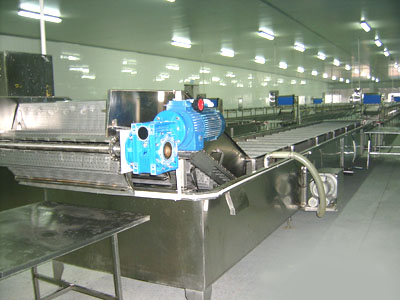 Băng Tải Thiên Long – Công Ty TNHH Kỹ Thuật Thiên Long