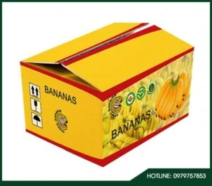 Thùng Carton T&T Group – Công Ty Cổ Phần Bao Bì T&T Group
