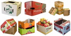 Thùng Carton Phong Dũng – Công Ty TNHH MTV TM SX Bao Bì Giấy Phong Dũng