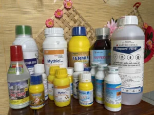 Diệt Mối Trần Anh – Công Ty Cổ Phần Đầu Tư Trần Anh