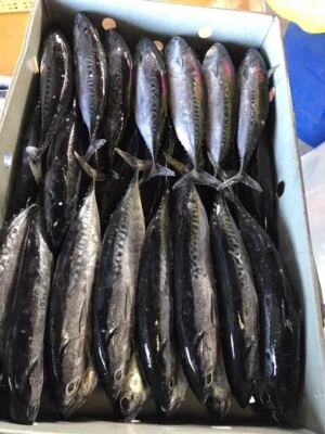 Thủy Sản Minh Trân – Công Ty TNHH Thủy Sản Minh Trân