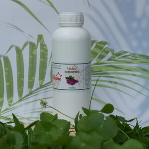 Tinh Dầu Canifo – Công Ty Cổ Phần Canifo