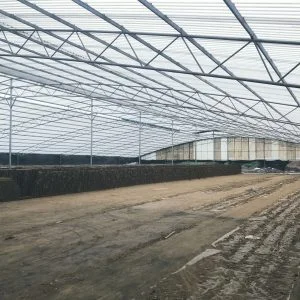 Chi Nhánh Bình Dương – Công Ty TNHH Tấm Lợp Lấy Sáng Việt Nam
