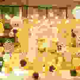 Công Ty TNHH Sản Xuất – Thương Mại Hai Tư Giờ