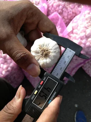 Gia Vị Phúc An – Công Ty TNHH TM XNK Và Tư Vấn Xây Dựng Phúc An