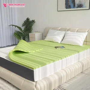 Nệm Thuần Việt – Công Ty Cổ Phần Nệm Thuần Việt
