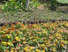 Công Ty TNHH Thiết Kế Xây Dựng Thương Mại Anh Khoa