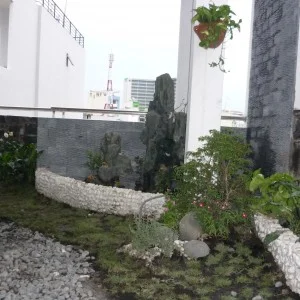 Công Ty CP Ngoại Thất Xanh Và Xinh
