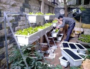 Công Ty CP Công Nghệ Và Kinh Doanh Công Nghiệp Đại Lâm