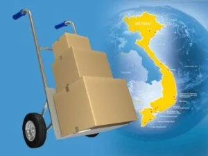 Công Ty TNHH Dịch Vụ Vận Tải Gió Mới