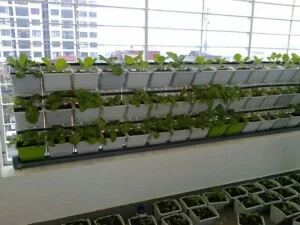 Công Ty CP Công Nghệ Và Kinh Doanh Công Nghiệp Đại Lâm