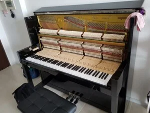Công Ty TNHH Thương Mại Trùng Dương