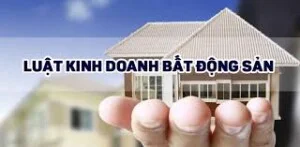 Tư Vấn Pháp Luật Hải Luật – Văn Phòng Luật Sư Hải Luật