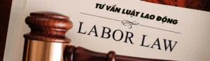Tư Vấn Pháp Luật Hải Luật – Văn Phòng Luật Sư Hải Luật