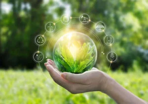 Công Ty Cổ Phần Môi Trường Thảo Dương Xanh