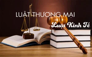 Luật Đồng Thắng – Công Ty Luật TNHH Đồng Thắng