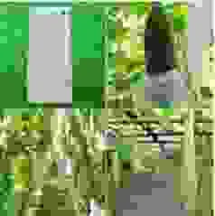 Vật Tư Làm Nông Lucky Garden – Công Ty TNHH Nhanh Thật Nhanh