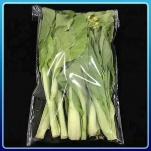 Bao Bì Nam Việt – Công Ty TNHH Sản Xuất Thương Mại Dịch Vụ Bao Bì Nam Việt