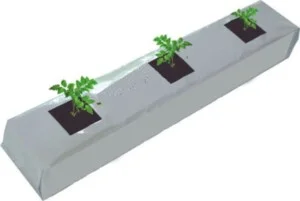 Công Ty Cổ phần SCG Việt Nam